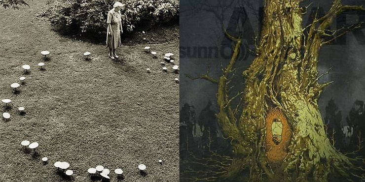 An open source photo of a person standing in a circle of mushrooms, next to the cover to the Sunn 0)))/Boris album Altar.